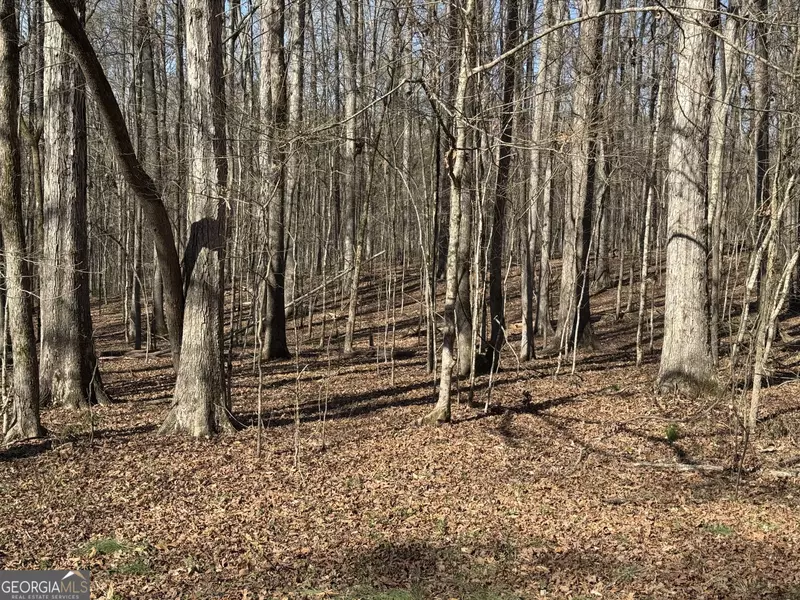 0 Staghorn TRL, Nicholson, GA 30565