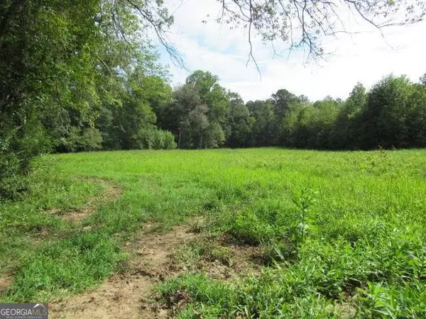 Bowdon, GA 30108,101 Winding RD #LOT 5