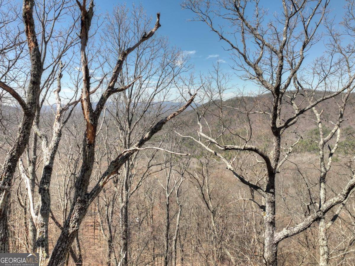 Ellijay, GA 30536,LOT 13 Wilderness WAY