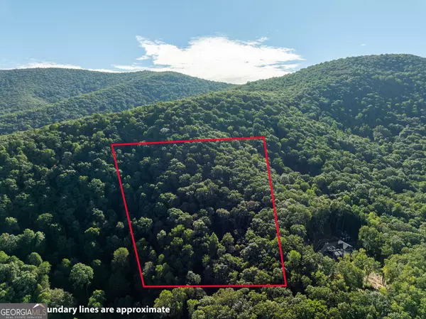 Ellijay, GA 30536,LOT 13 Wilderness WAY