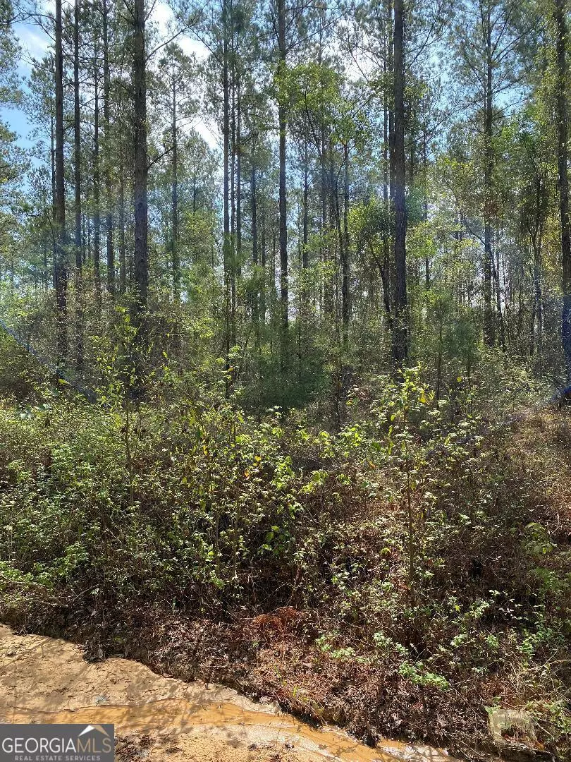 Swainsboro, GA 30401,LOT 4 Coleman Chapel RD