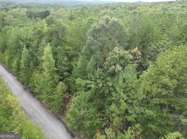 53 Skyline DR, Braswell, GA 30153
