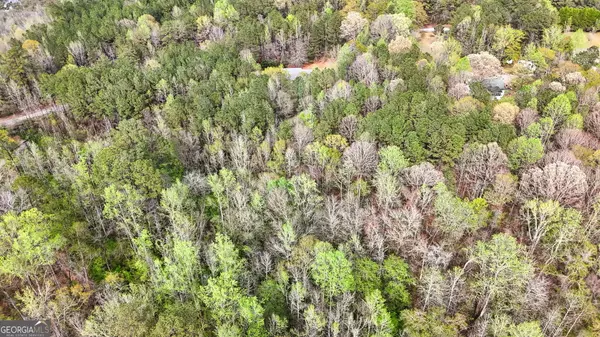 Locust Grove, GA 30248,575 Chuli RD