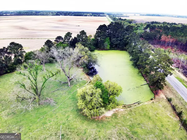 Pelham, GA 31779,5854 Mount Olive RD