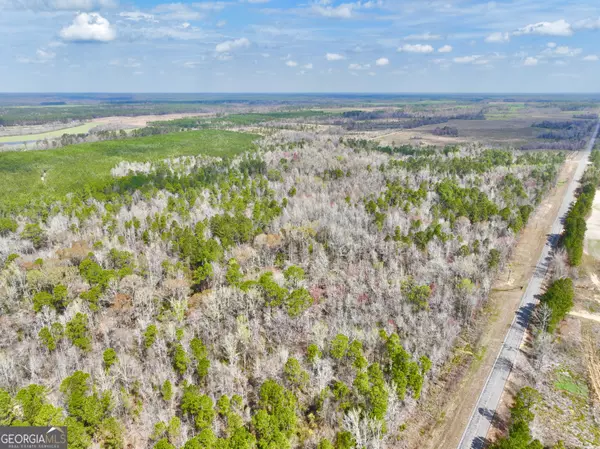Eastman, GA 31023,0 Chauncey Rhine HWY #LOT#WP001