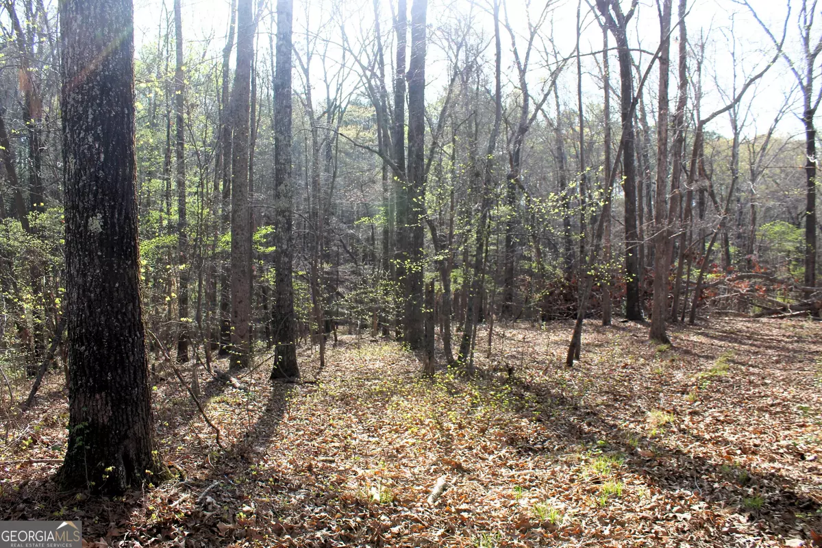 Newnan, GA 30263,0 Hendrix RD