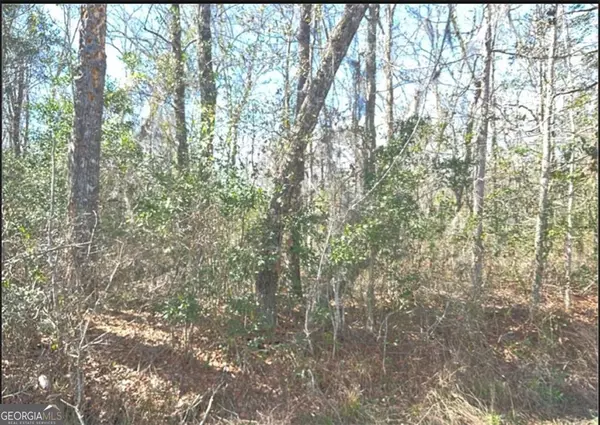 Townsend, GA 31331,1451 Blues Reach RD