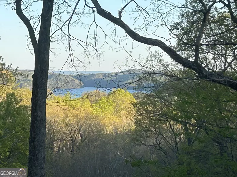 439 Buck Creek RD #LOT 34, Ellijay, GA 30540