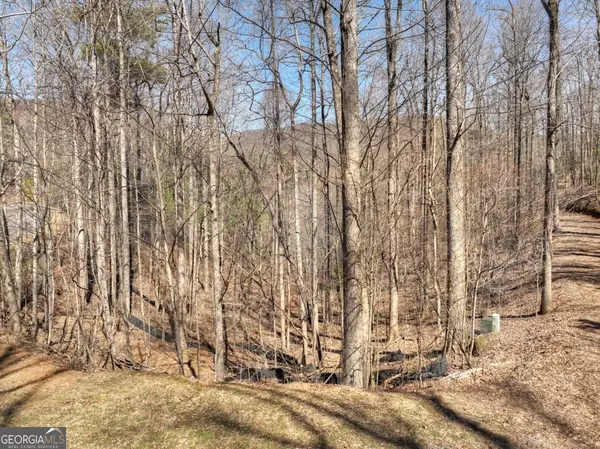 Ellijay, GA 30536,LOT 18 Wilderness WAY