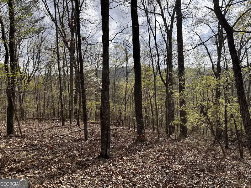 998 Blade CT, Ranger, GA 30734