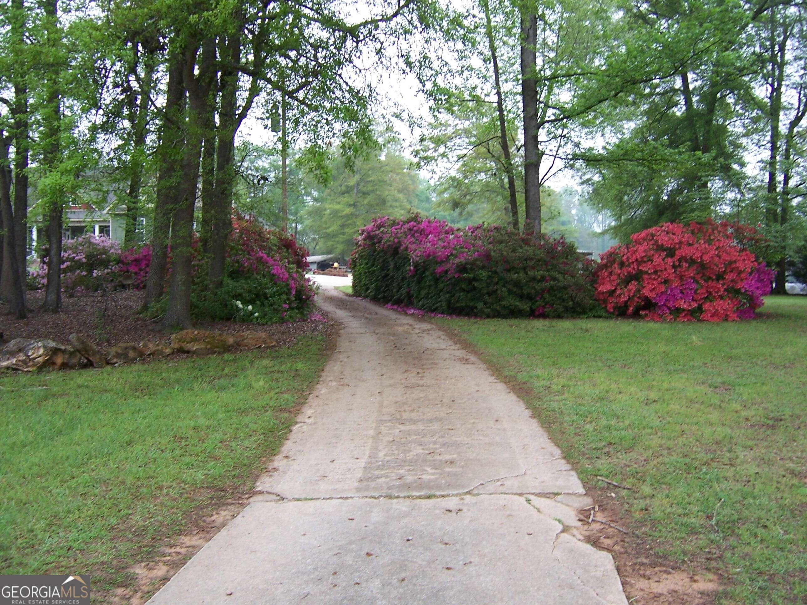 Hawkinsville, GA 31036,3154 S HWY 341
