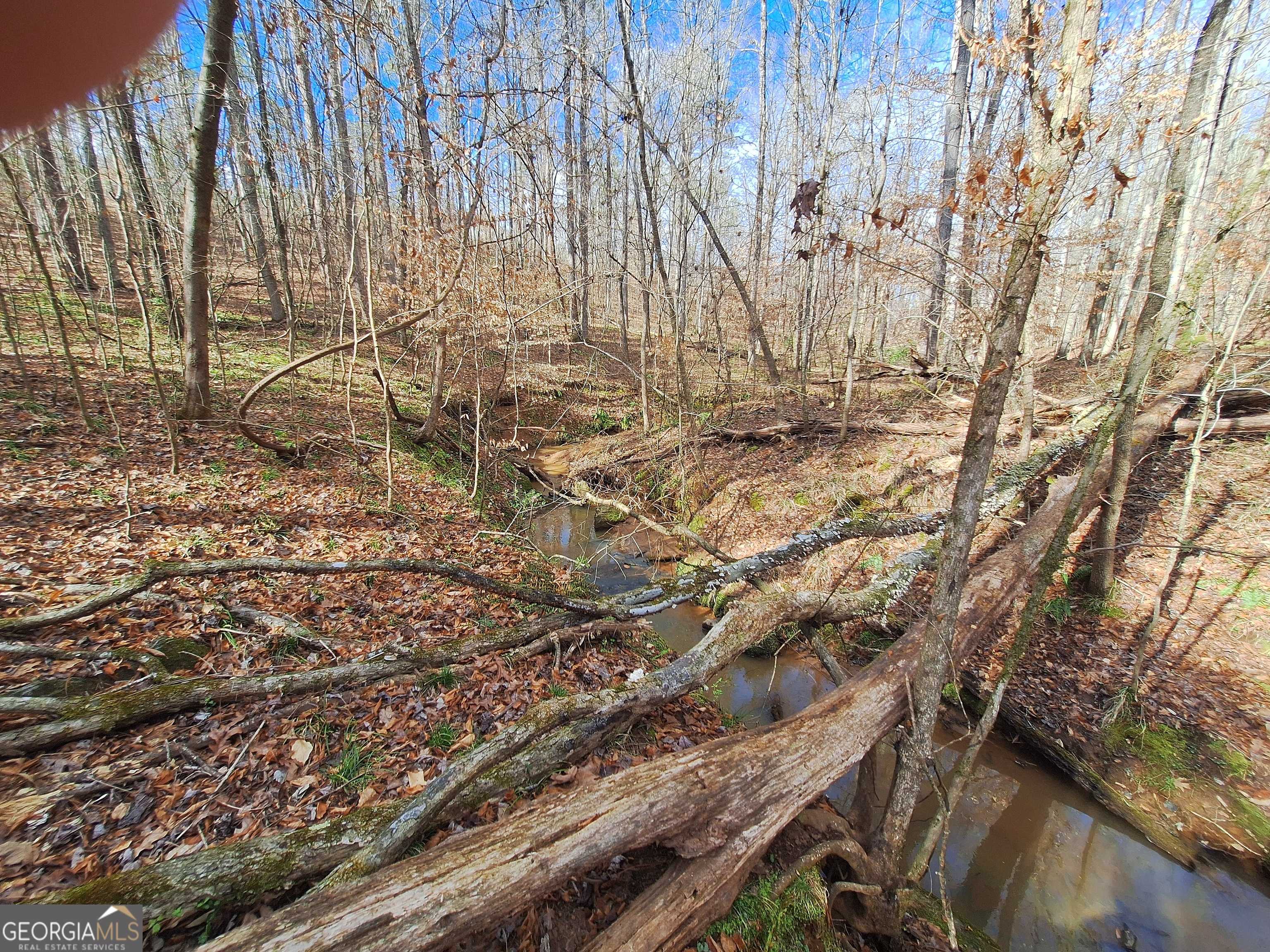 Monticello, GA 31064,TRACT 4 Highway 16 W