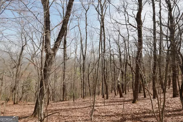 Big Canoe, GA 30143,820 Falcon Heights