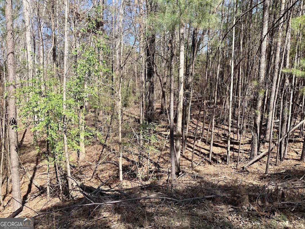 888 Melody PT,  Hartwell,  GA 30643