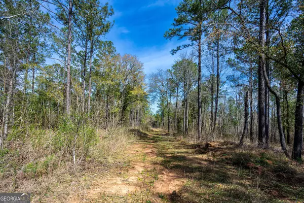 Pine Mountain, GA 31822,0 Shake Rag RD #TRACT 1