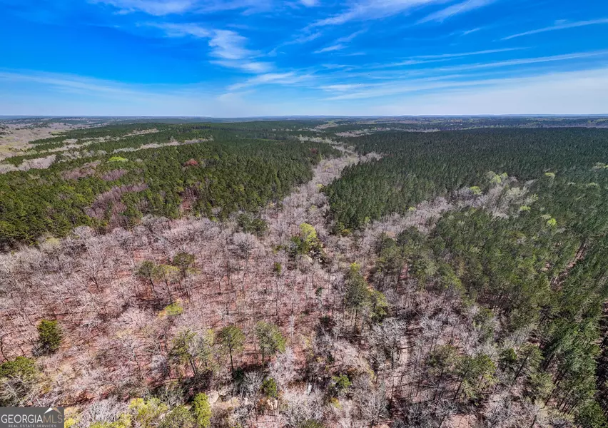 0 Shake Rag RD #TRACT 1, Pine Mountain, GA 31822