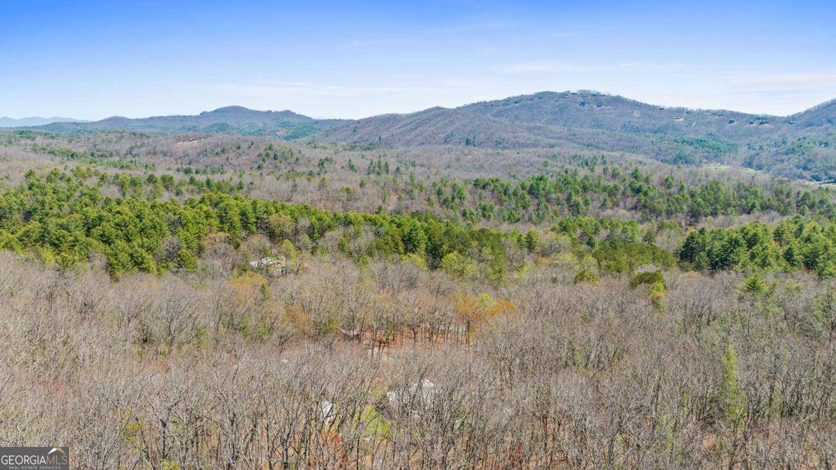 Mineral Bluff, GA 30559,40B Synacia RD