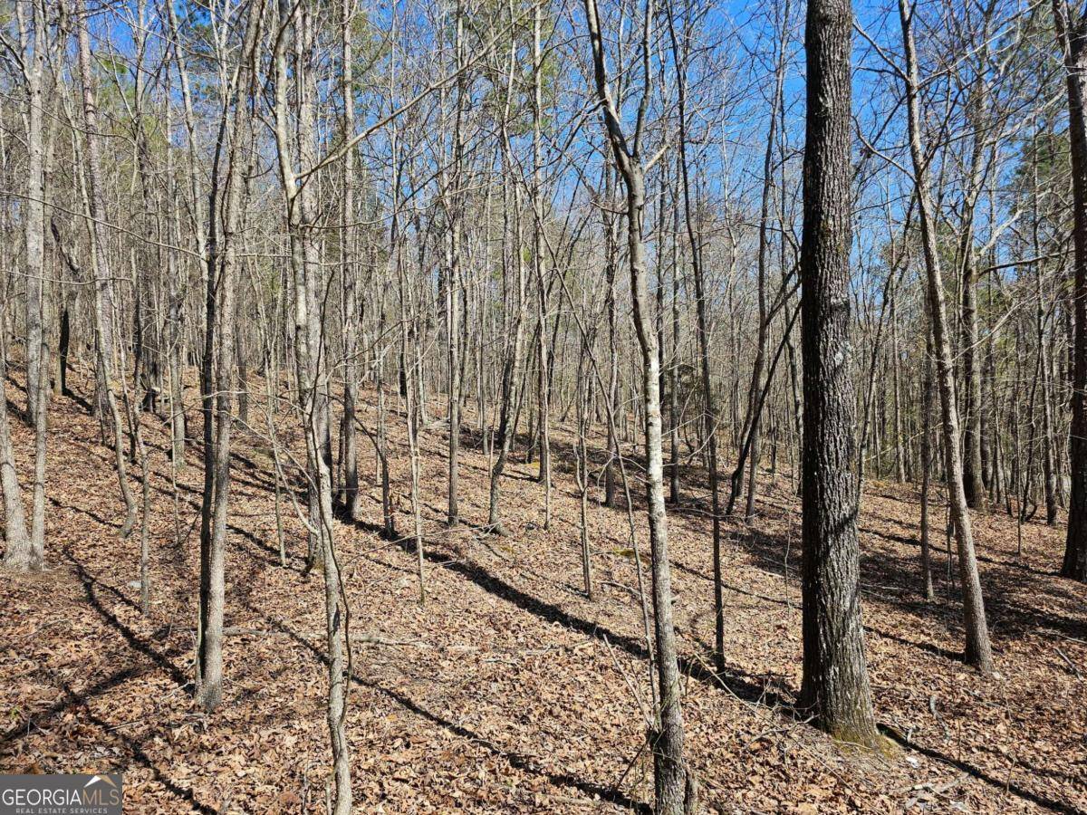 Cedartown, GA 30125,0 Prior Station RD #TRACT 4