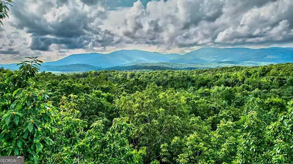 48 MT Mt McGruder RD, Ellijay, GA 30540