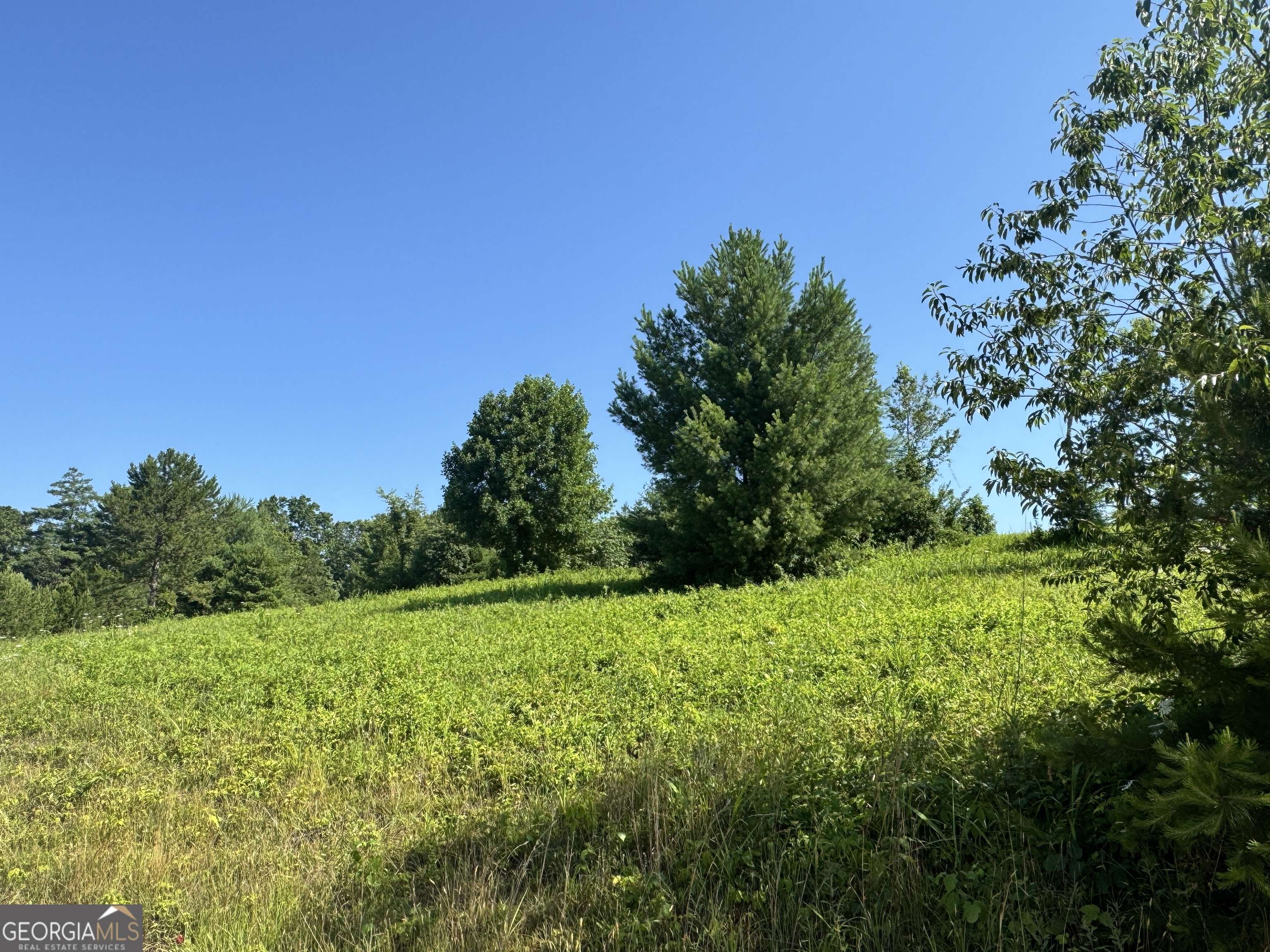 Lakemont, GA 30552,0 Log Cabin LN #LOT 7