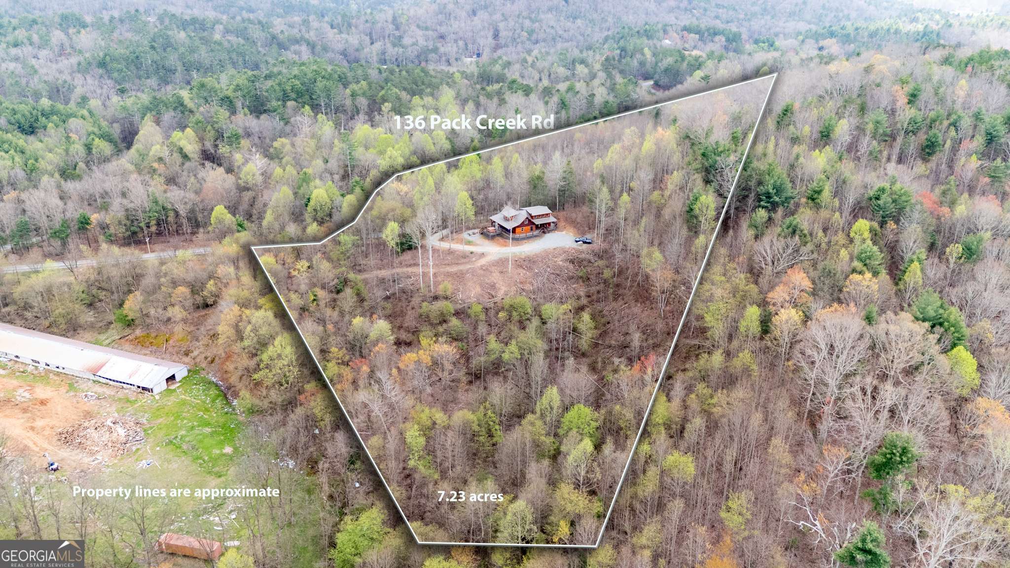 Blue Ridge, GA 30513,136 Pack Creek RD
