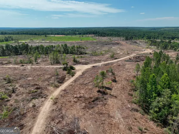 Toomsboro, GA 31090,0 Highway 112 #LOT 4