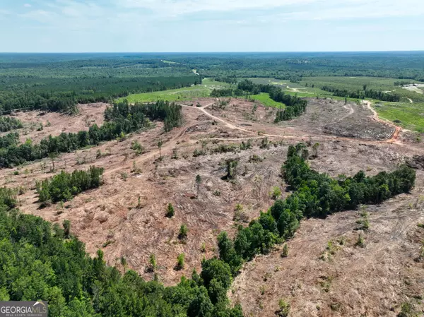 Toomsboro, GA 31090,0 Highway 112 #LOT 4