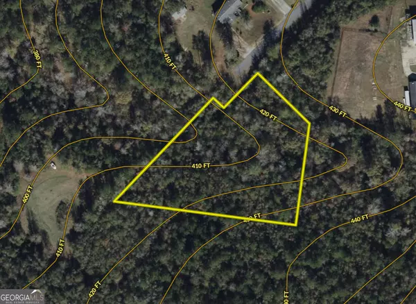 Dry Branch, GA 31020,0 Highway 80 #LOT #2
