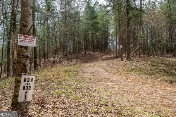 824 AND 830 Banks RD, Ellijay, GA 30540