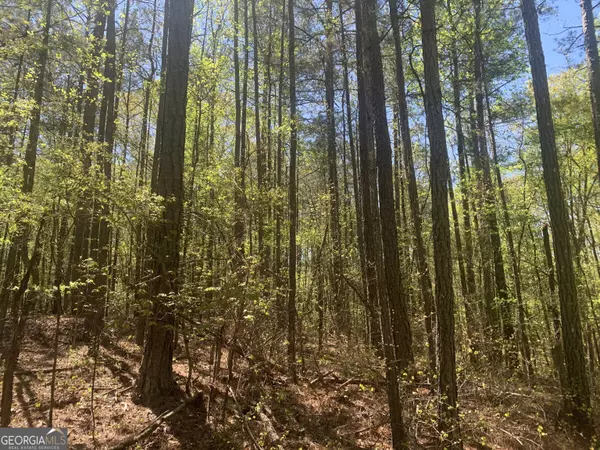 Locust Grove, GA 30248,0 Locust RD