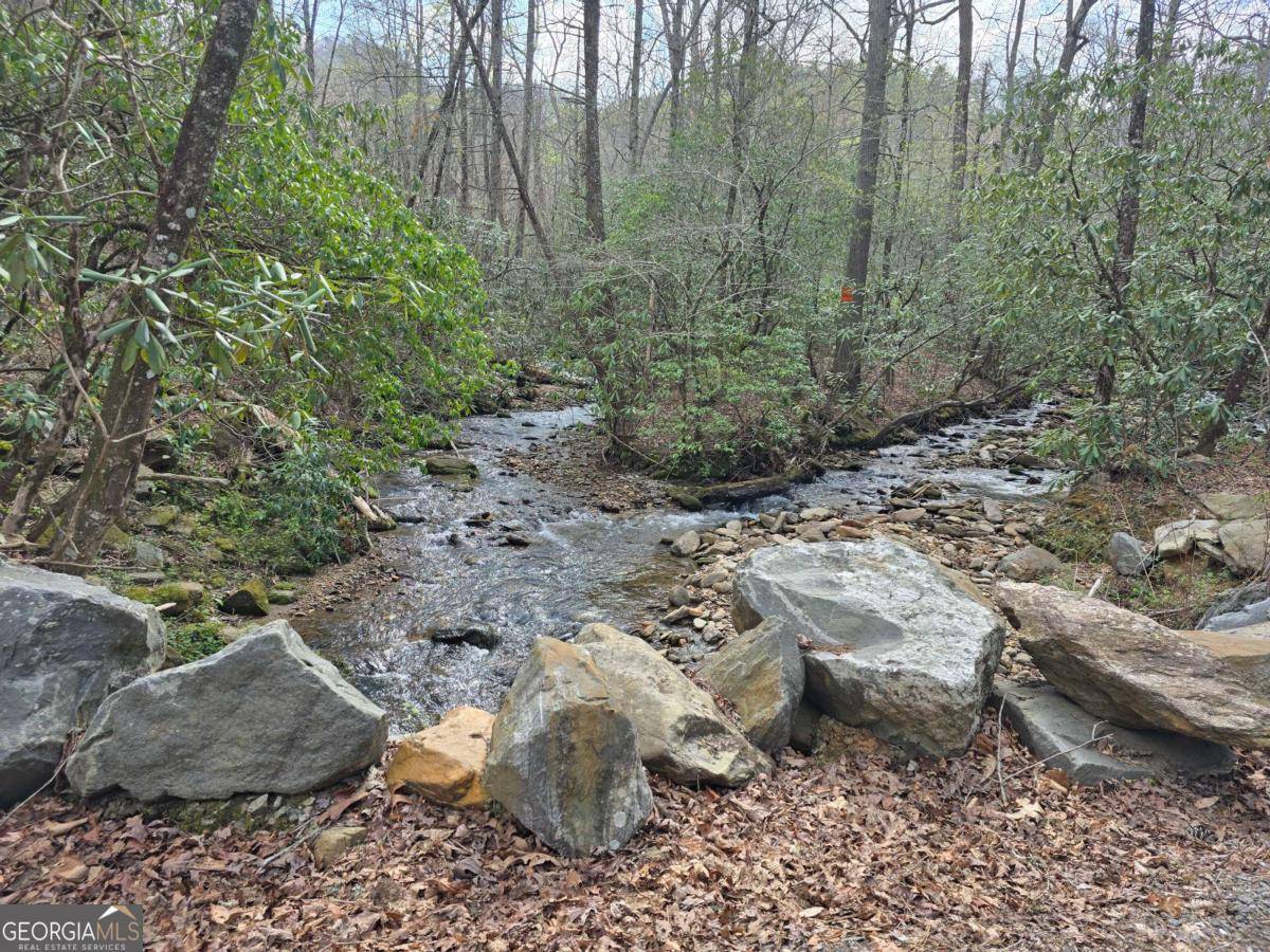 Hiawassee, GA 30546,1467 Creek RD