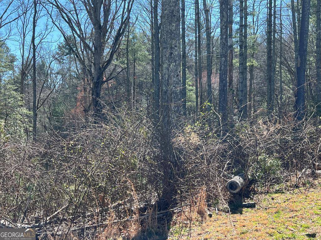 Blairsville, GA 30512,LOT 173 Highland Park