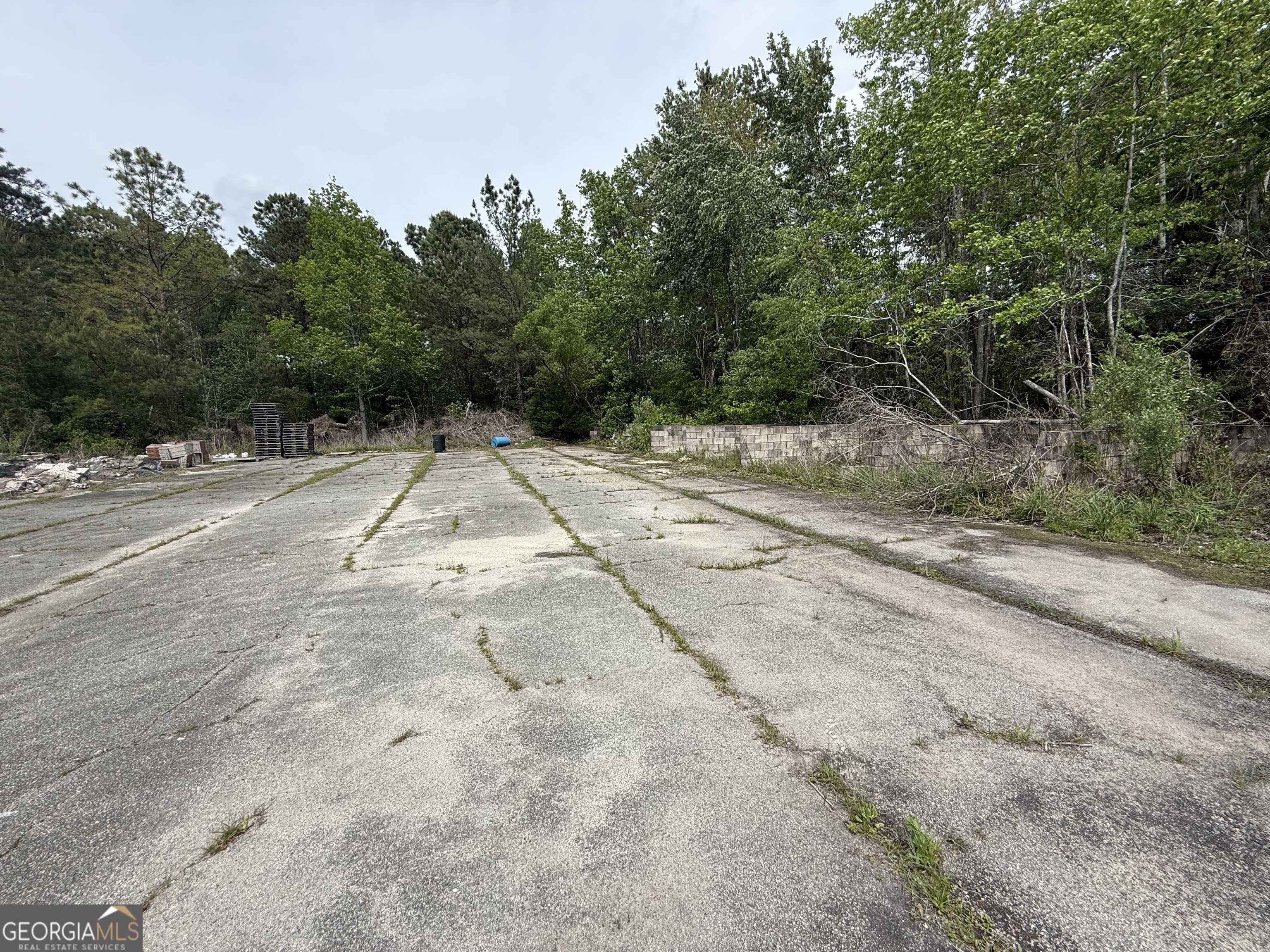 Woodbine, GA 31569,1801 Harrietts Bluff RD