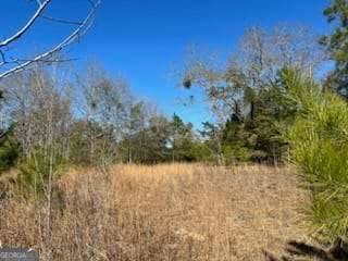 Fort Gaines, GA 39851,871 Eufalula Highway