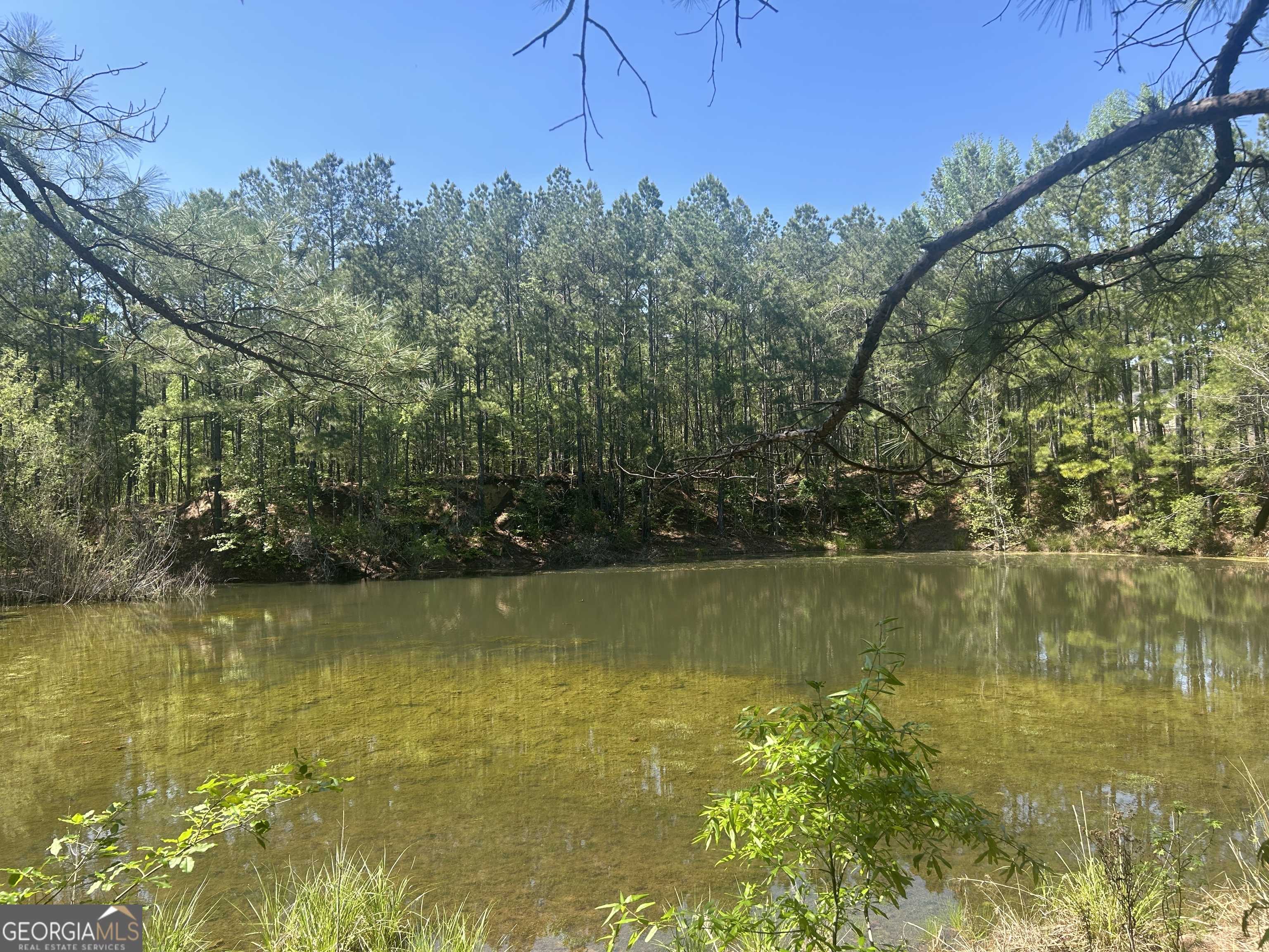 Juliette, GA 31046,1268 Christian RD