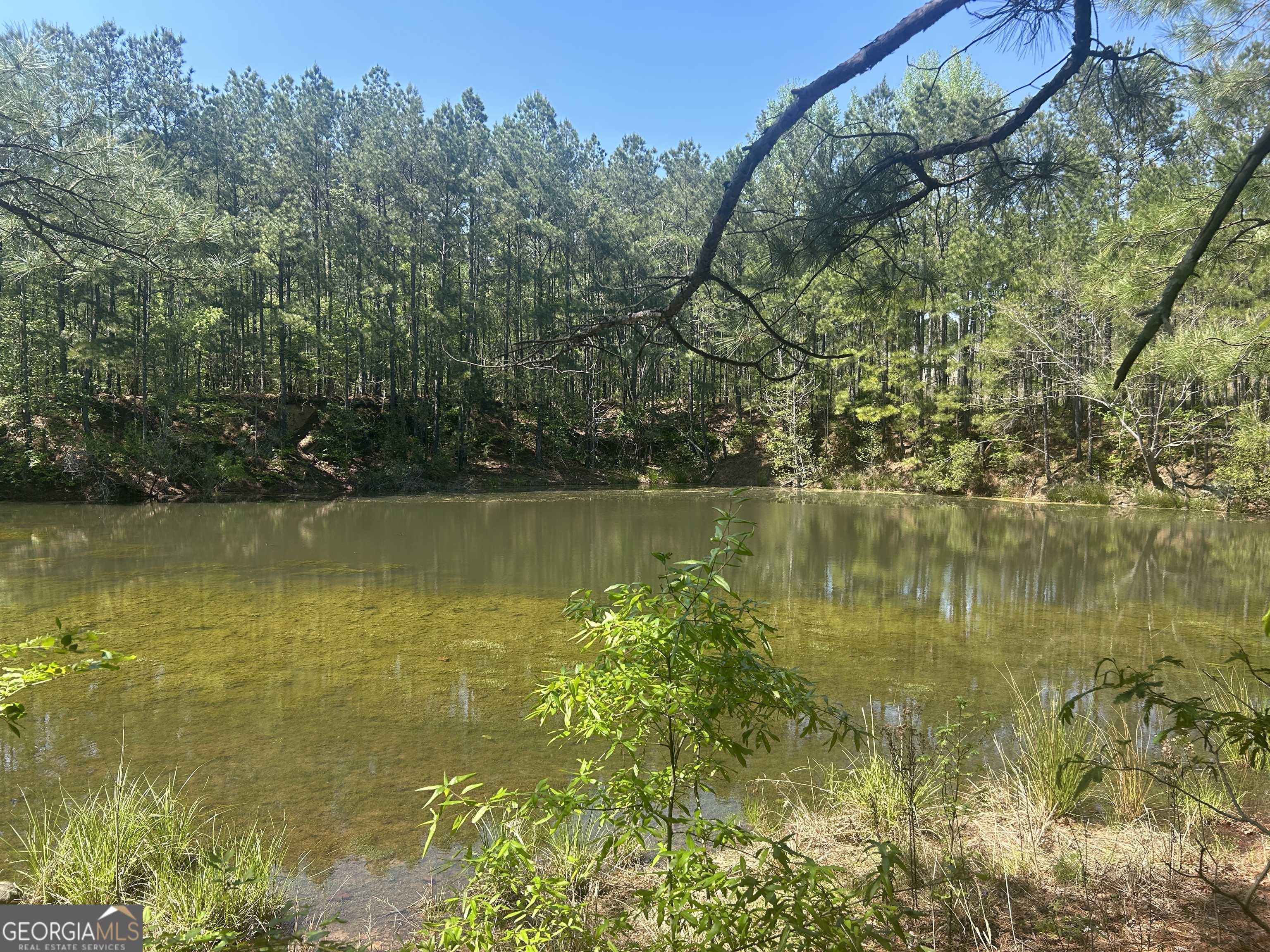 Juliette, GA 31046,1268 Christian RD
