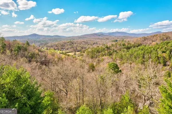 Mineral Bluff, GA 30559,425 Rhonda LN