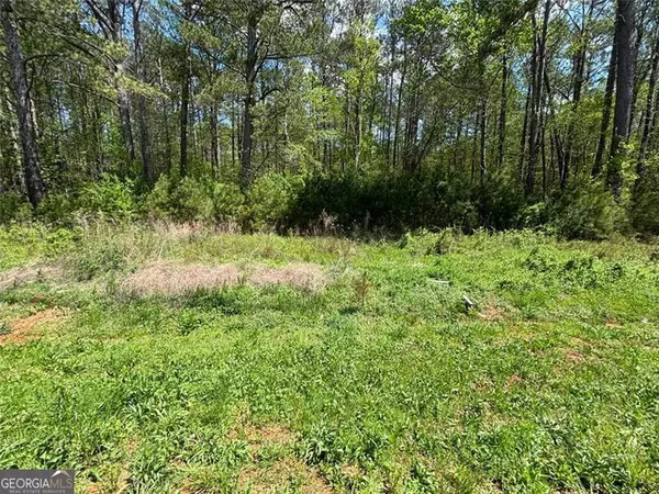 0 Highway 92 N, Douglasville, GA 30134