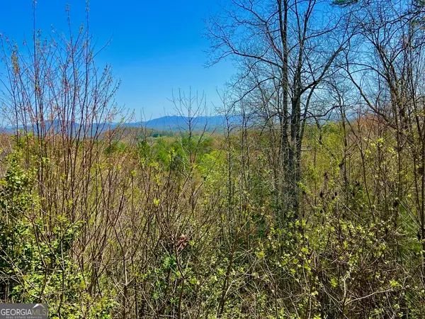 Morganton, GA 30560,14 Hawks view