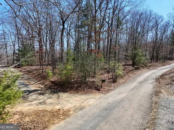 LOT 1 Robert Miller LN, Mineral Bluff, GA 30559