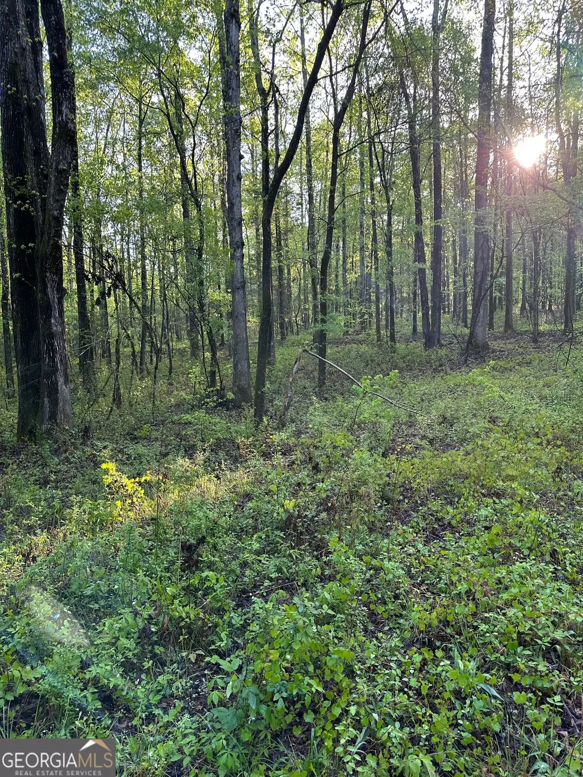 Locust Grove, GA 30248,1433 Cleveland Farm RD