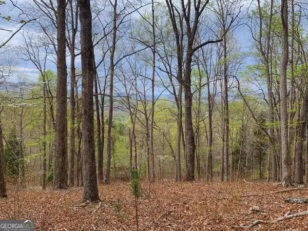 Young Harris, GA 30582,LOT 65 Timberline DR