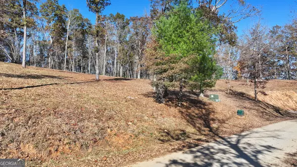 Blue Ridge, GA 30513,LT 19 Haven WAY