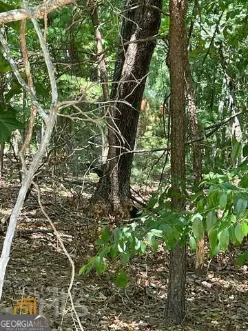 Clarkesville, GA 30523,110 Highlands DR