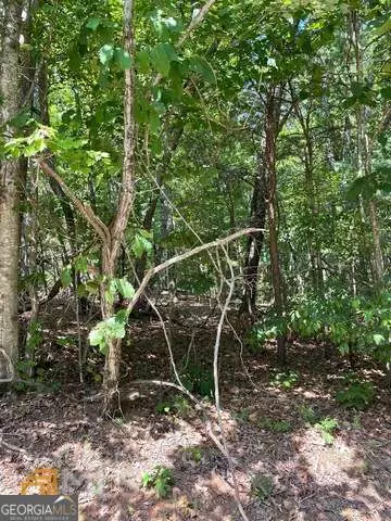 Clarkesville, GA 30523,110 Highlands DR