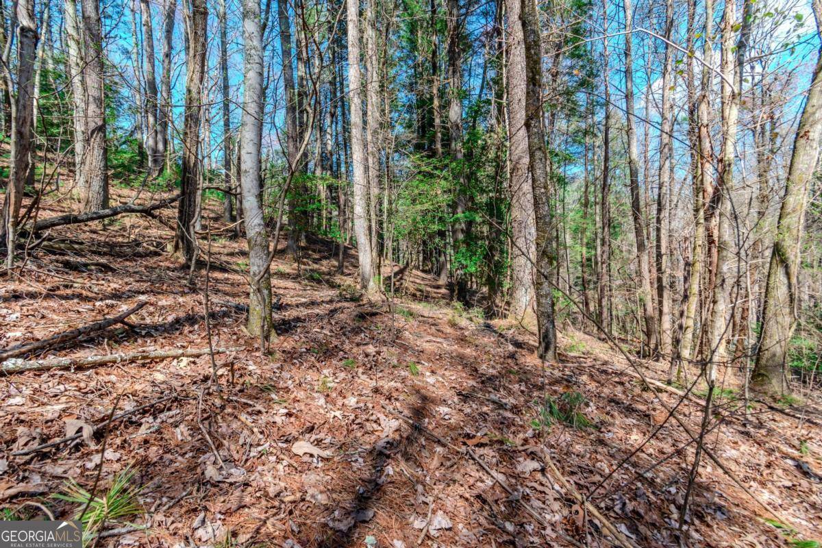 Ellijay, GA 30540,LOT 694 S Satsuma CT