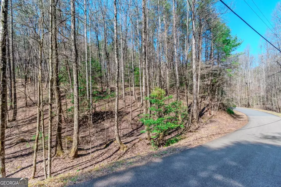 LOT 694 S Satsuma CT, Ellijay, GA 30540