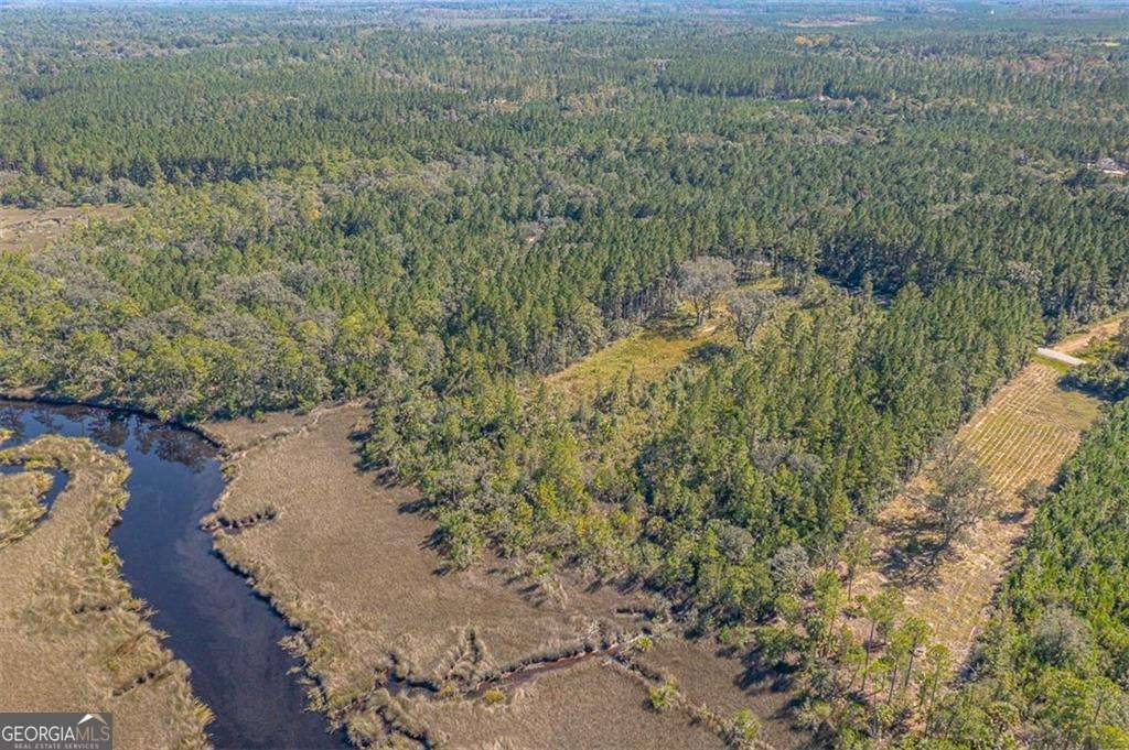 Waverly, GA 31565,LOT 76 La Sole LN