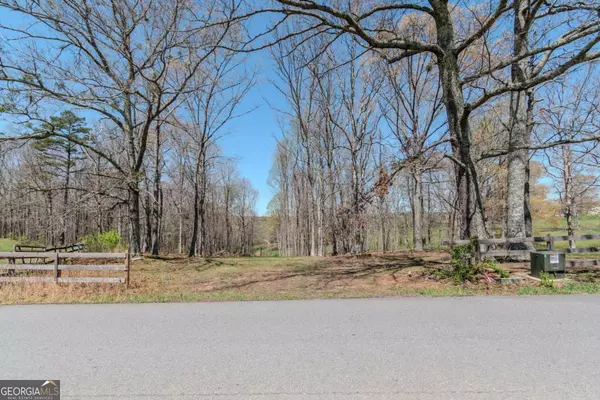 Morganton, GA 30560,13.75AC Tipton Springs RD