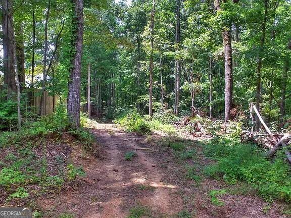 Dallas, GA 30132,503 Parker